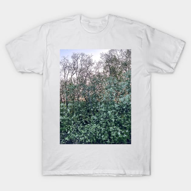 Trees At Dusk T-Shirt by Ecotone